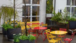 Pocket Schwammstadt – Blau-Grüne-Infrastruktur im Miniformat