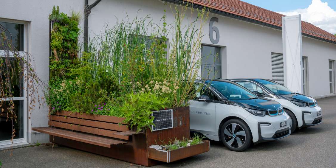 Die Pilot Pocket Schwammstadt in ihrem dritten Jahr: Die Pflanzen gedeihen. Die Pilot Pocket Schwammstadt in ihrem dritten Jahr: Die Pflanzen gedeihen.